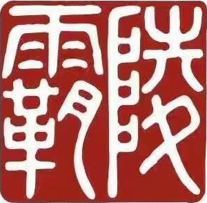 公司产品